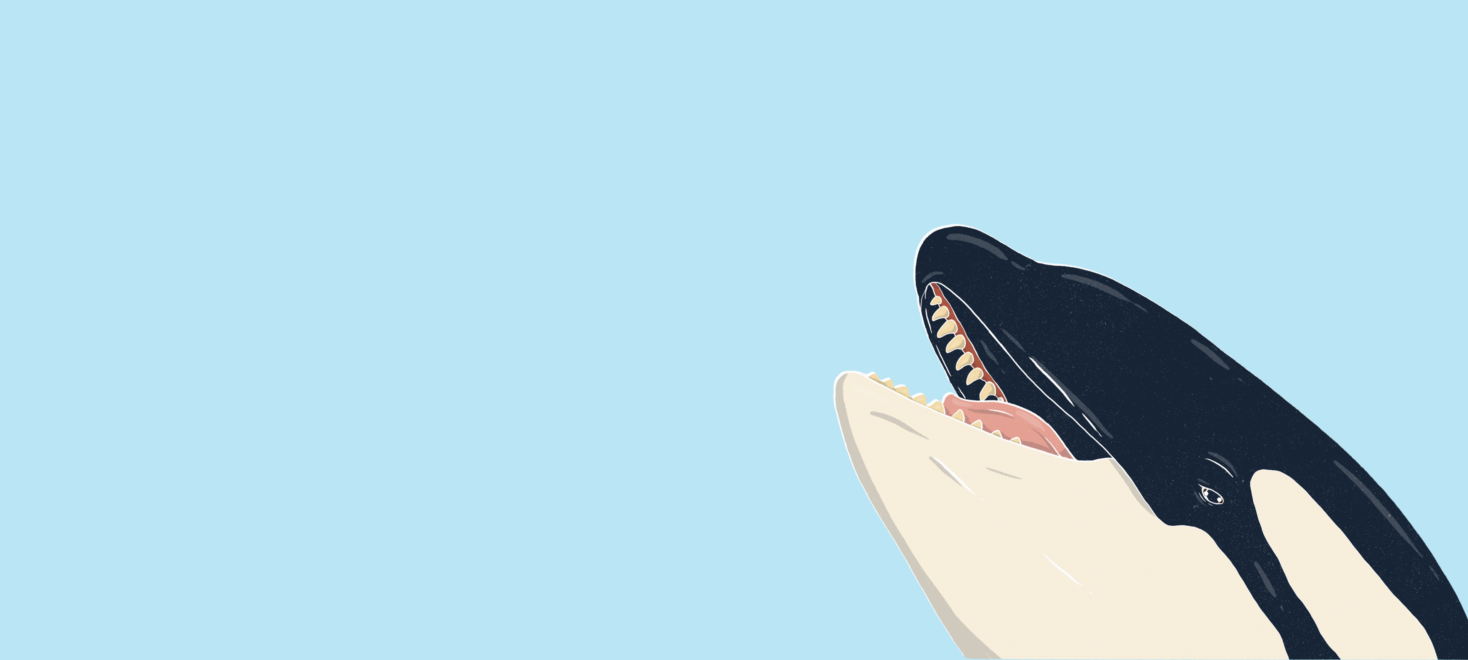 Bl&aring; bakgrunn med spekkhogger i nedre h&oslash;yre hj&oslash;rne.