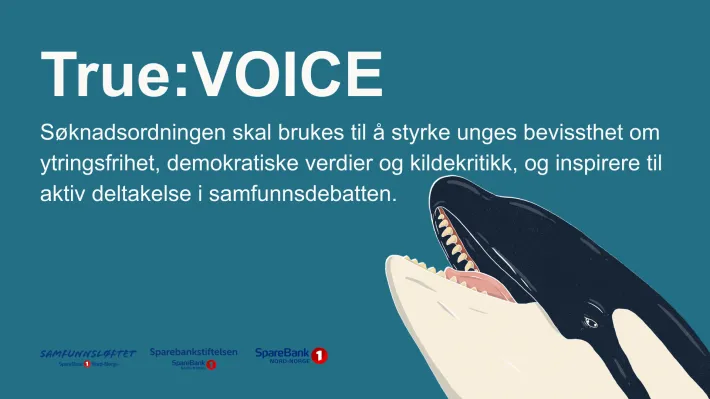 True:VOICE s&oslash;knadsordningen skal brukes til &aring; styrke unges bevissthet om ytringsfrihet, demokratiske verdier og kildekritikk, og inspirere til aktiv deltakelse i samfunnsdebatten.