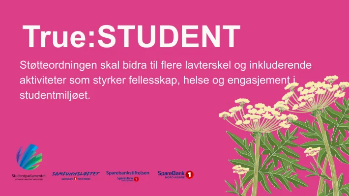True:STUDENT St&oslash;tteordningen skal bidra til flere lavterskel og inkluderende aktiviteter som styrker fellesskap, helse og engasjement i studentmilj&oslash;et.