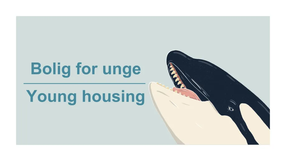 Bl&aring; bakgrunn med tekst "bolig for unge" p&aring; norsk og "young housing" p&aring; engelsk. 
